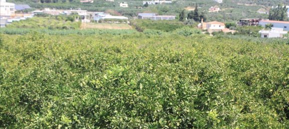 Hotel en Chania, Greece 23306 m² No. 4800 9