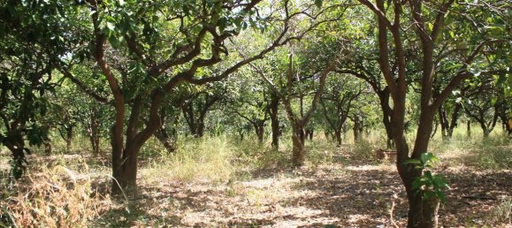 Hotel en Chania, Greece 23306 m² No. 4800 10