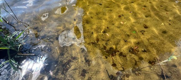 2 غرف نوم تاون هاوس في Ludwigslust-Parchim, Germany رقم 129370 9