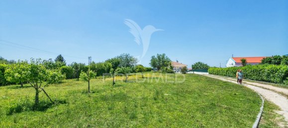 5 bedrooms House in Setubal, Portugal No. 71093 24