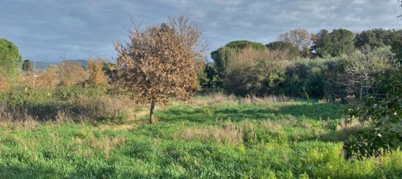 10 rooms House in Gavorrano, Italy No. 141323 20