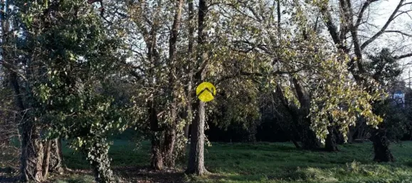 Terrain à Lunery, France 760m² No. 235875 2