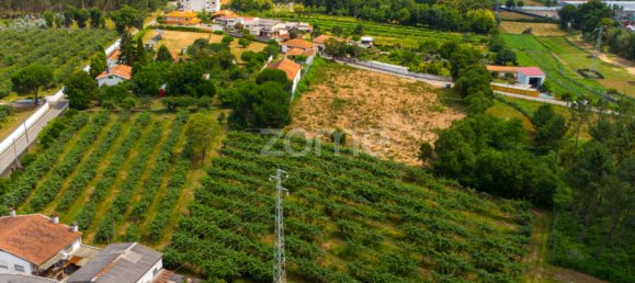 Земельный участок в Агеда, Португалия № 78826 16