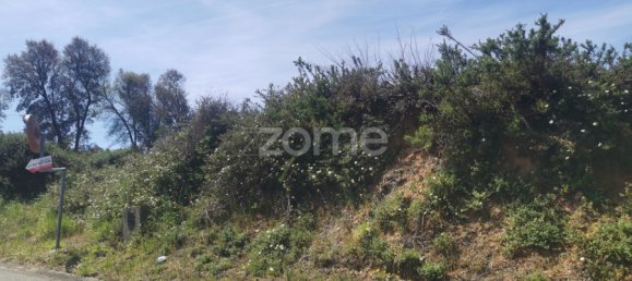 Земельный участок в Агеда, Португалия № 78826 3