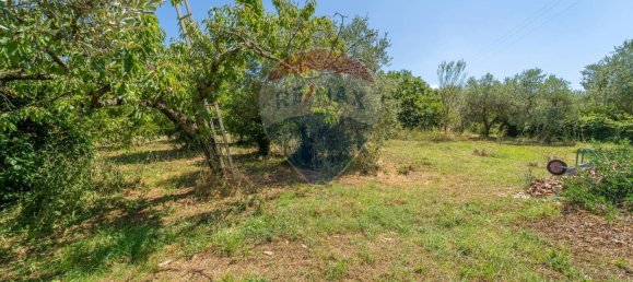 3 bedrooms Villa in Velletri, Italy No. 309600 45