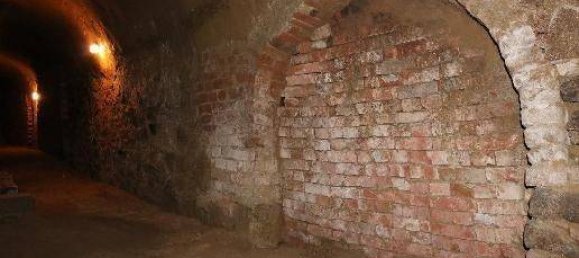  عقار تجاري في Grafenworth, Austria رقم 138850 8