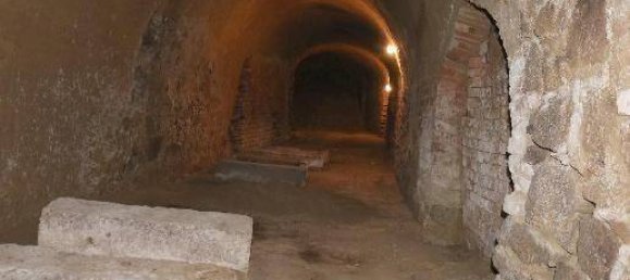  عقار تجاري في Grafenworth, Austria رقم 138850 9