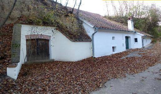  عقار تجاري في Grafenworth, Austria رقم 138850