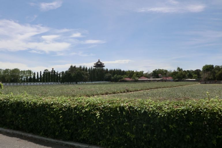  Commercial property in Pattaya, Thailand No. 19876