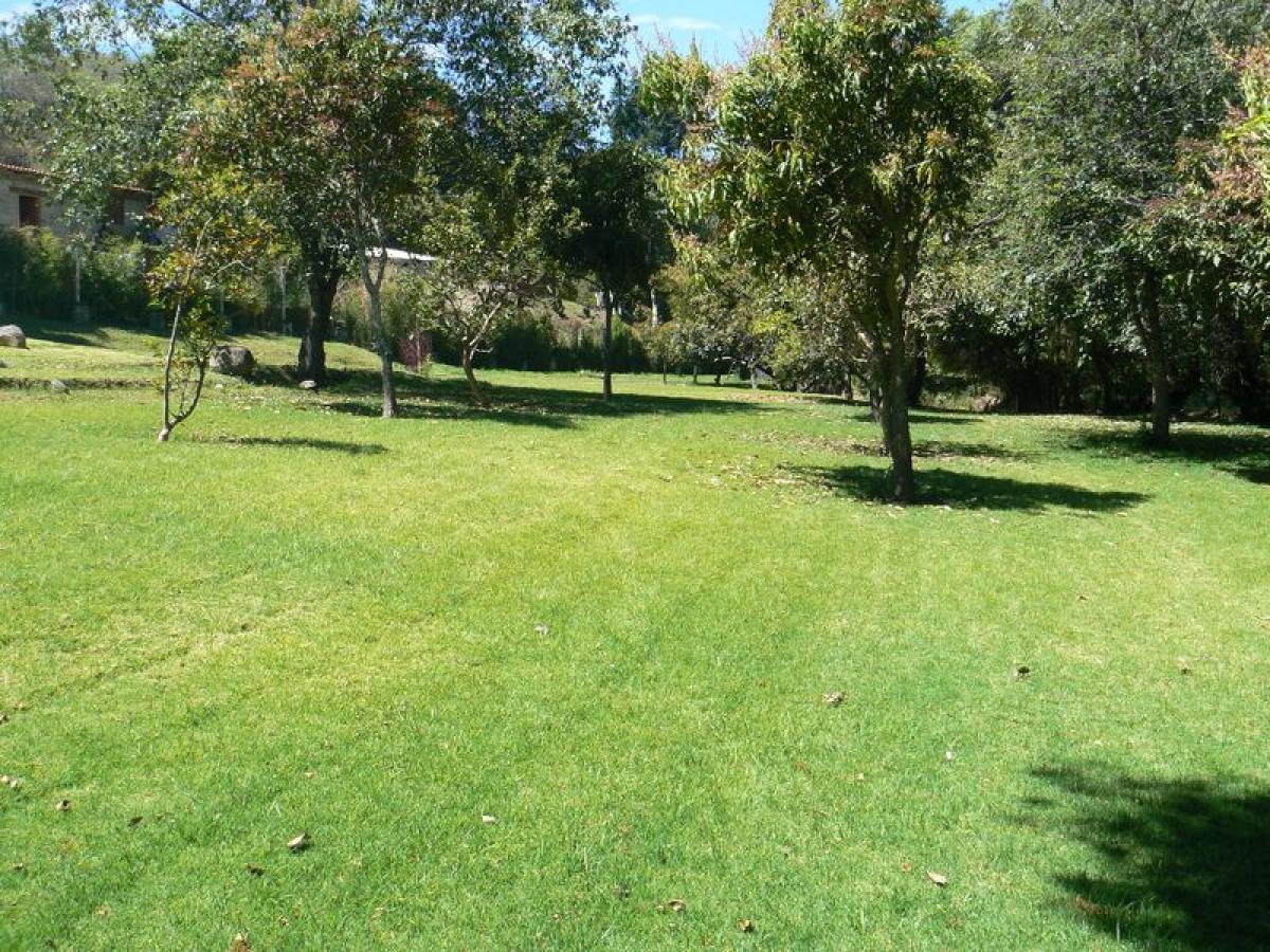  قطعة أرض في Heroica Matamoros, Mexico رقم 202662