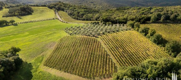 Casa T8 em Murlo, Italy N.º 54095 33