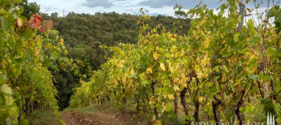 Casa T8 em Murlo, Italy N.º 54095 32