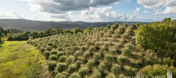 Casa T8 em Murlo, Italy N.º 54095 30