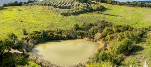 Casa T8 em Murlo, Italy N.º 54095 31