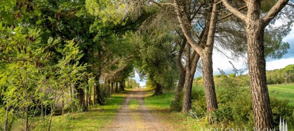 Casa T8 em Murlo, Italy N.º 54095 6