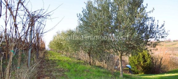 Casa de 8 habitaciónes en Vo', Italy No. 120590 7