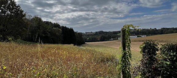 5-Zimmer Haus in Litzelsdorf, Austria, Nr. 155153 6