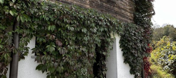 5-Zimmer Haus in Litzelsdorf, Austria, Nr. 155153 39