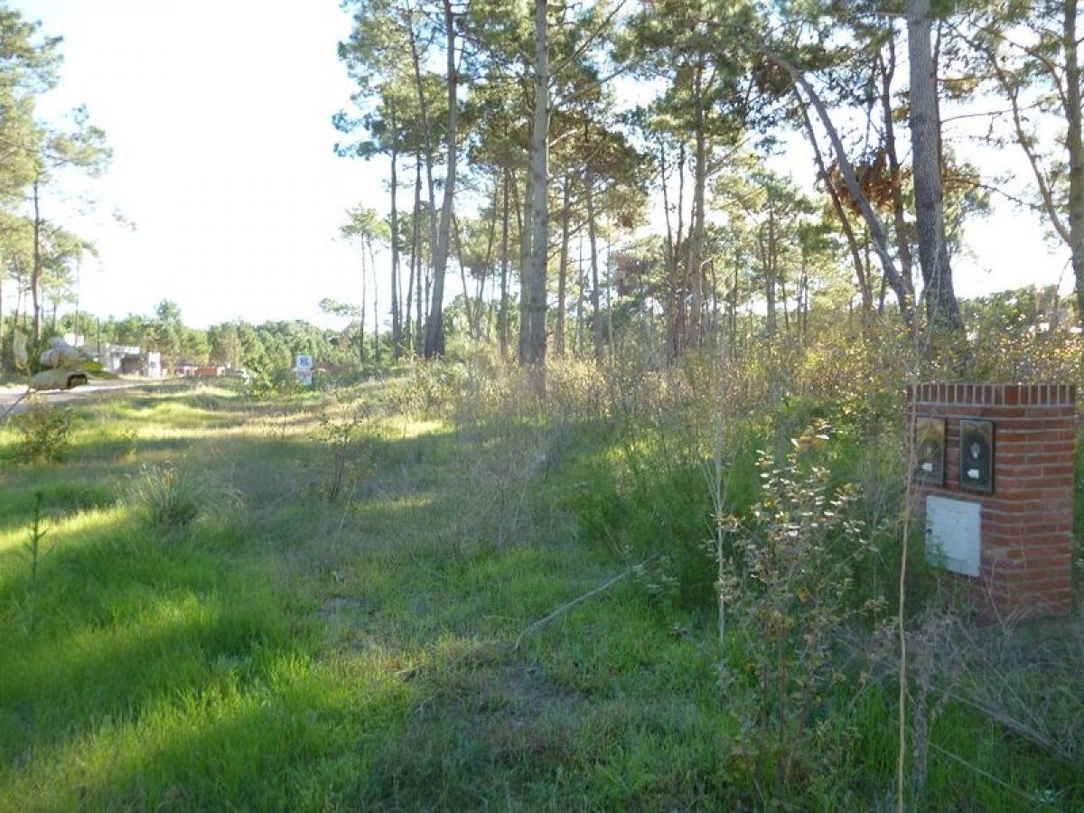 Grundstück in Mar del Plata, Argentina, Nr. 115174