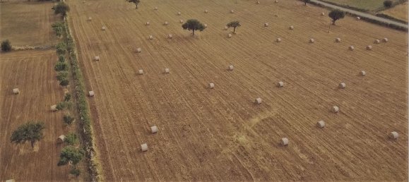 18-Zimmer Haus in Noto, Italy, Nr. 47667 19