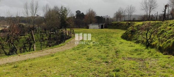 5200m² Land in Penafiel, Portugal No. 55021 5