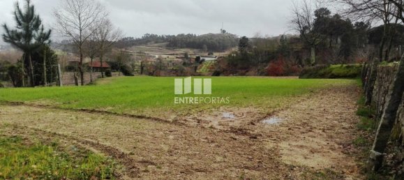 5200m² Land in Penafiel, Portugal No. 55021 7