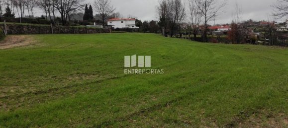 5200m² Land in Penafiel, Portugal No. 55021 9