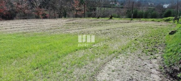 5200m² Land in Penafiel, Portugal No. 55021 8