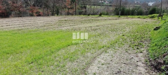 5200m² Land in Penafiel, Portugal No. 55021 14