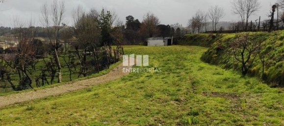 5200m² Land in Penafiel, Portugal No. 55021 6