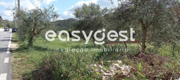 Terrain à Coimbra, Portugal 7150m² No. 185737 3