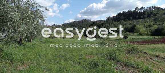 Terrain à Coimbra, Portugal 7150m² No. 185737 4