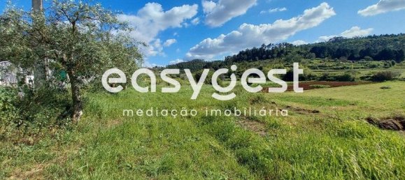 Terrain à Coimbra, Portugal 7150m² No. 185737 5