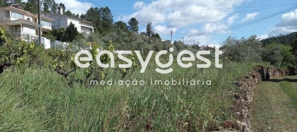 Terrain à Coimbra, Portugal 7150m² No. 185737 10