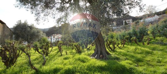 5غرفة منزل في Magliolo, Italy رقم 37052 40