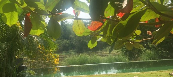 3 chambres Villa à Cha-am, Thailand No. 77849 17