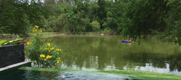 3 chambres Villa à Cha-am, Thailand No. 77849 2