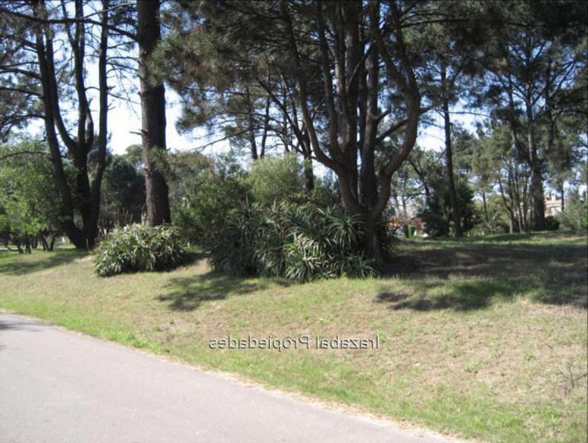 Terrain à Montevideo, Uruguay No. 14949