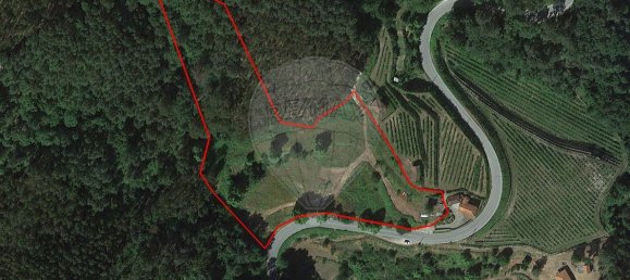 9 غرف نوم منزل في Vale de Bouro, Portugal رقم 61705 15