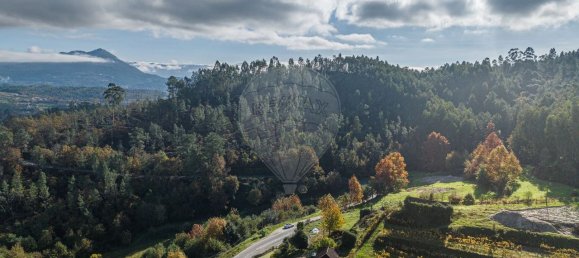 9 غرف نوم منزل في Vale de Bouro, Portugal رقم 61705 17