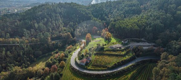 9 غرف نوم منزل في Vale de Bouro, Portugal رقم 61705 7