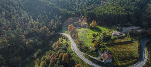 9 غرف نوم منزل في Vale de Bouro, Portugal رقم 61705 6