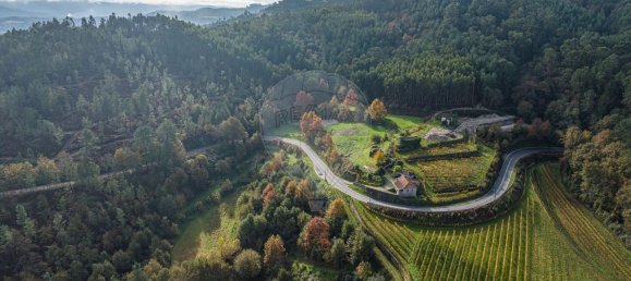 9 غرف نوم منزل في Vale de Bouro, Portugal رقم 61705 5