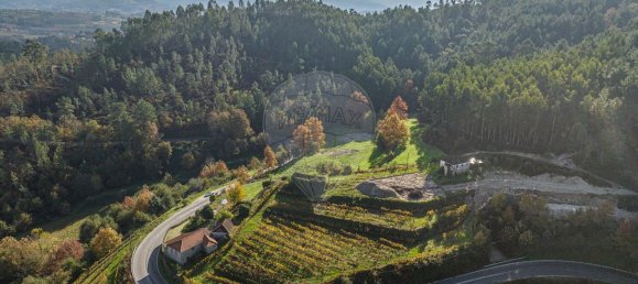 9 غرف نوم منزل في Vale de Bouro, Portugal رقم 61705 9