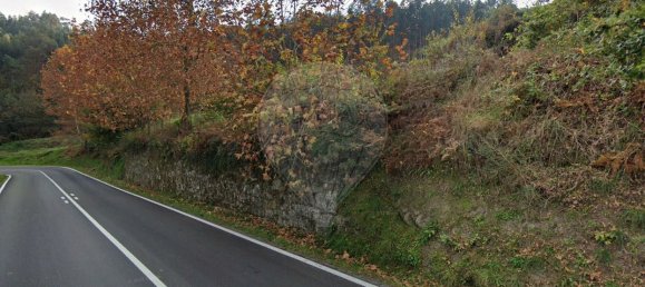 9 غرف نوم منزل في Vale de Bouro, Portugal رقم 61705 14