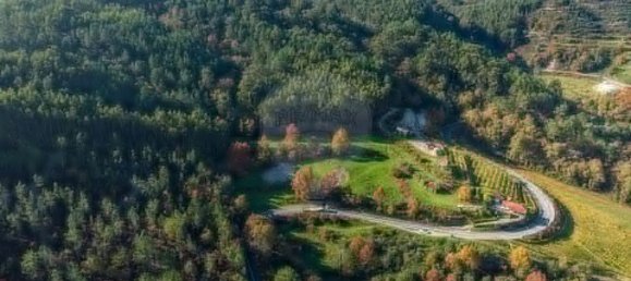 9 غرف نوم منزل في Vale de Bouro, Portugal رقم 61705 10