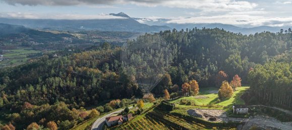 9 غرف نوم منزل في Vale de Bouro, Portugal رقم 61705 11