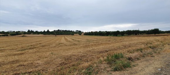 9900m² Hotel in Chalkidiki, Greece No. 4153 2