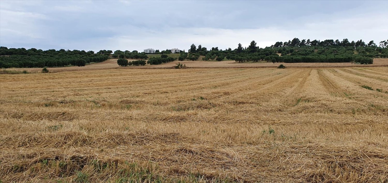 9900m² Hotel in Chalkidiki, Greece No. 4153