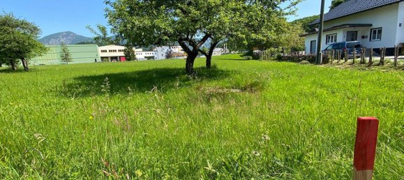 Terreno em Bad Ischl, Austria N.º 39220 5